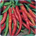 How to Dry Chili Seeds